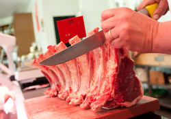 Prévention des risques professionnels : le document unique