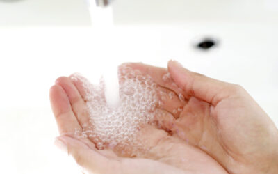 Un nouveau GBPH pour la restauration rapide