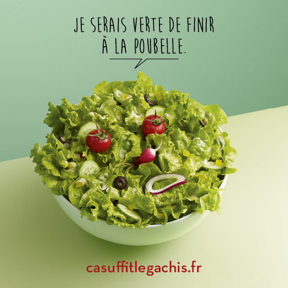 ça suffit le gachis!
