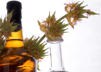 Les alcools utilisés dans vos préparations exonérés de droit