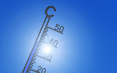 Chaleur et canicule au travail : les obligations de l’employeur