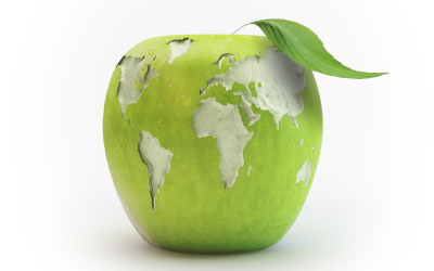 Vers une alimentation plus responsable