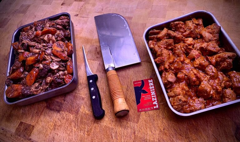 258234262 1485601721840235 8452051500368091106 n 768x453