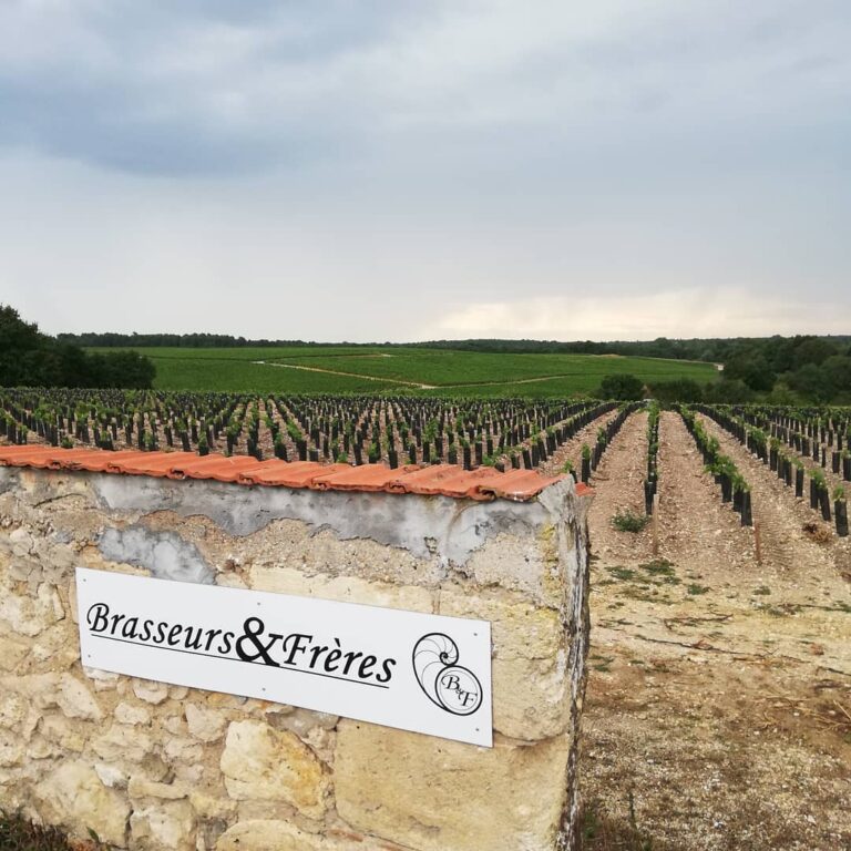 brasseurs et freres medoc artisans gourmands 768x768