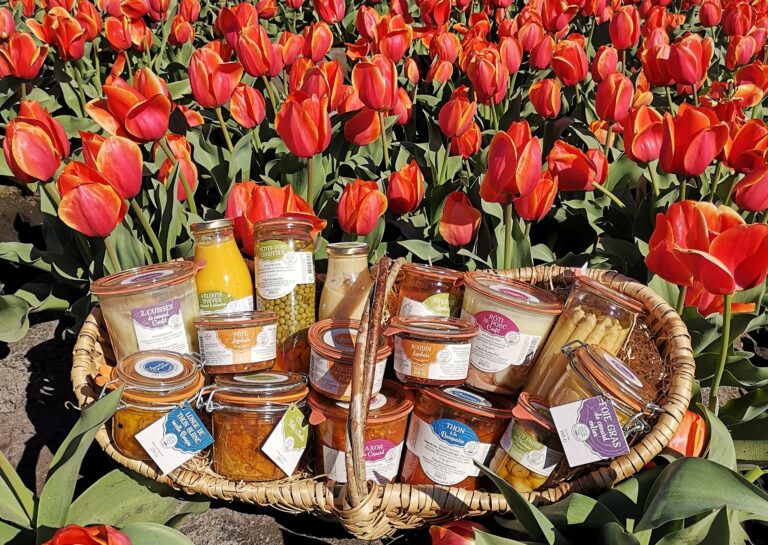 Armoire conserves2 768x545