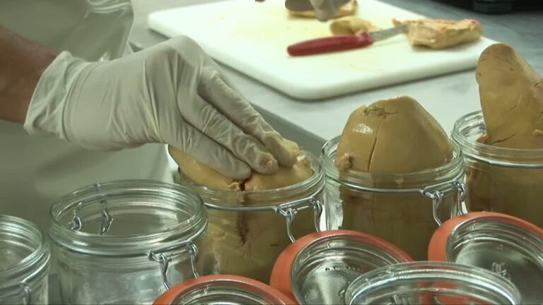 Maison Tenoy2 768x432