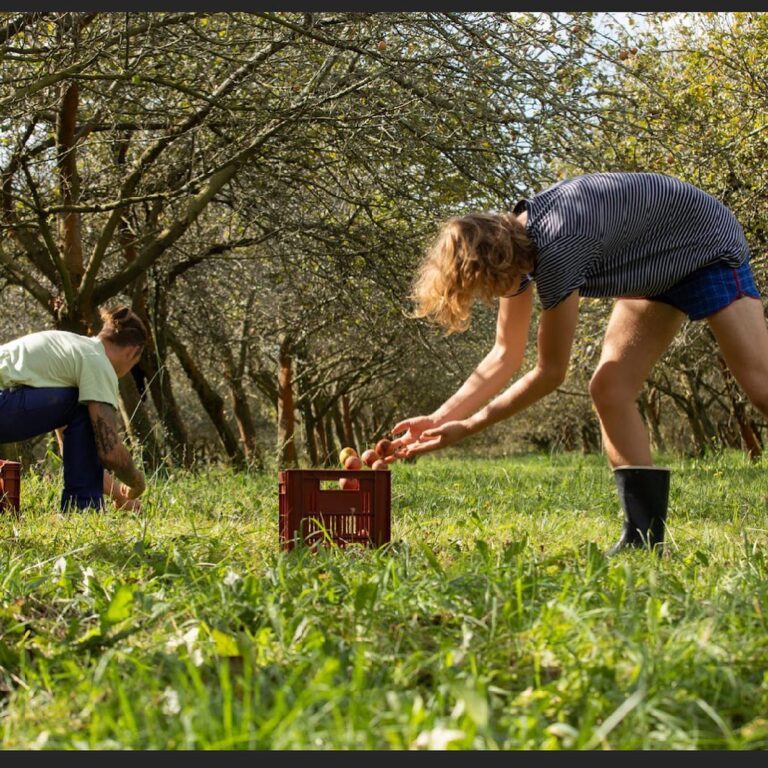 cidre eztigar pommes basques artisans gourmands pyrenees atlantiques 768x768