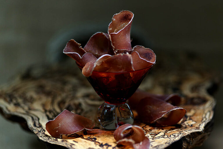 fines bouches rient grison 1 768x512