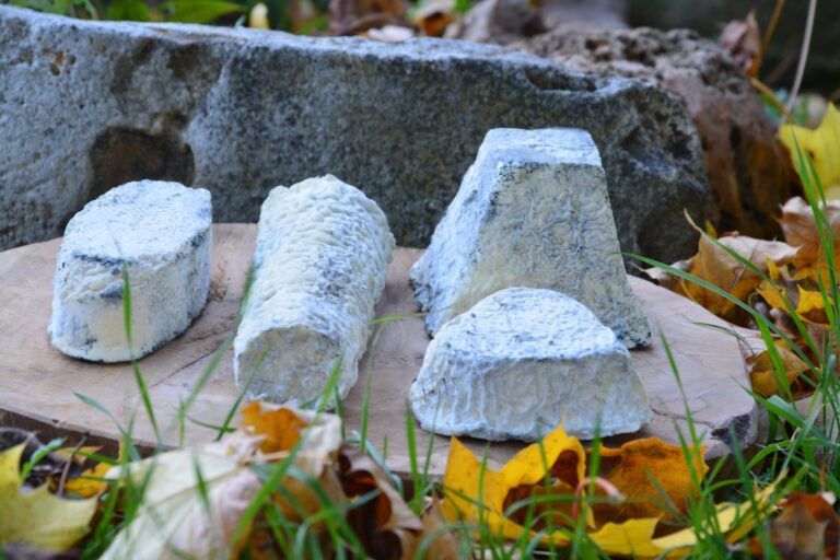 fromagerie petitsigne saint sauveur artisans gourmands vienne 768x512