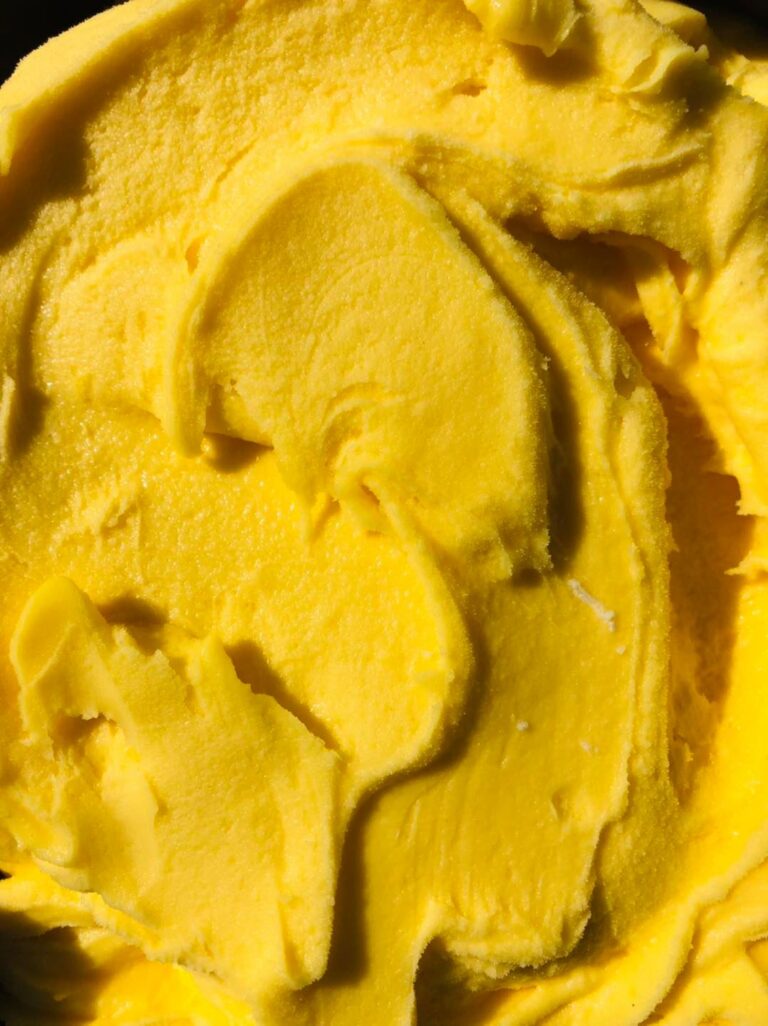georgio artisan glace artisanale artisans gourmands pyrenees atlantiques 768x1026