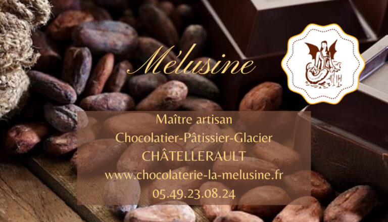 logo la melusine chocolaterie artisans gourmands chatellerault cma nouvelle aquitaine 768x439