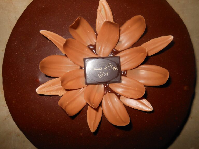 patisserie chocolat la pomme de pain a secondigny artisans gourmands deux sevres 768x576