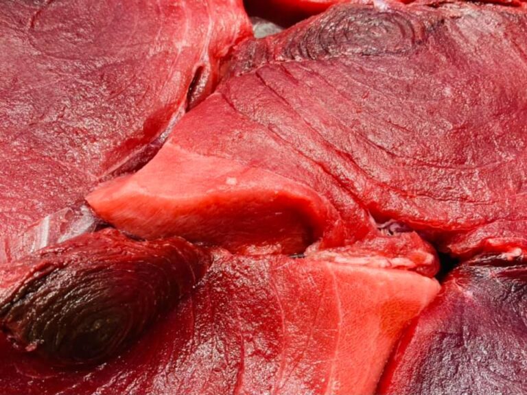 123504751 771944960030823 252274359036375824 n 768x576