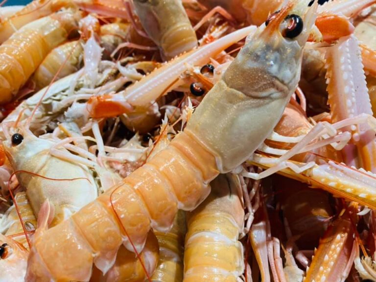 124002903 773359803222672 2088629305090442963 n 768x576