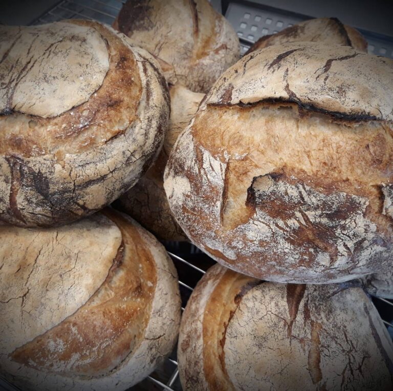 29063126 184220698861210 5644090259672137728 n 768x764