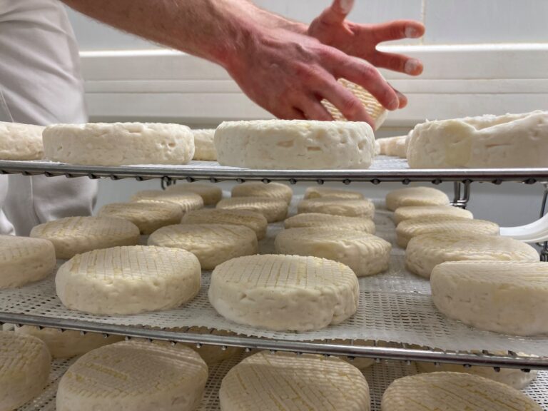 185213468 338861160922162 11466873995460845 n 768x576