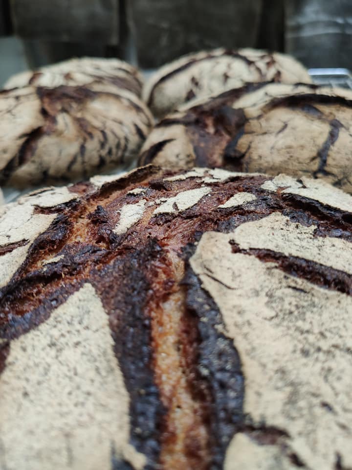 73460546 405647730382031 5722137692410478592 n