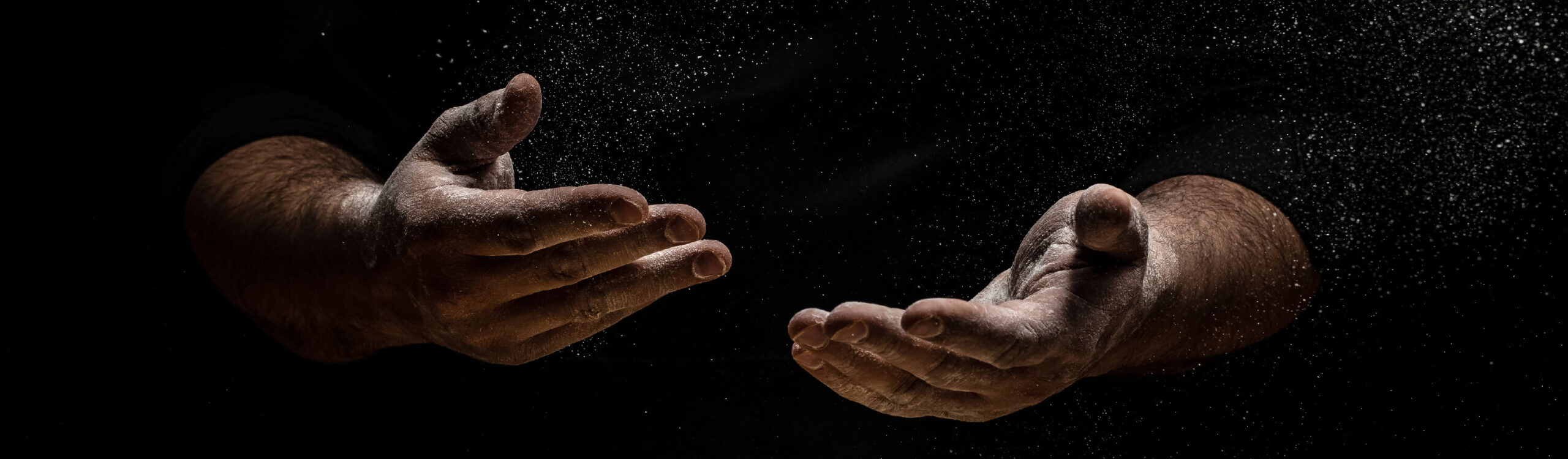 Les artisans du goût qui vous veulent du bon !