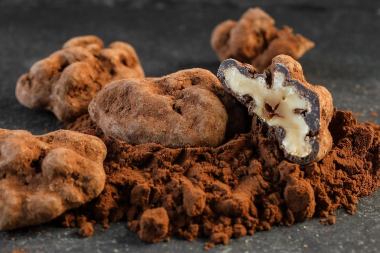 294578461 3110206419229966 6188940205634389429 n 768x512