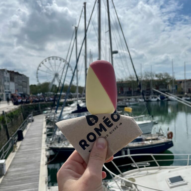 343770114 186619274238820 1419612315951572480 n 768x768