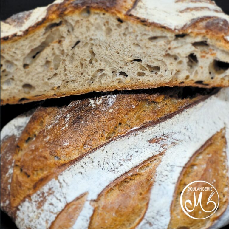 358670308 727949925802858 1659957762718931107 n 768x768