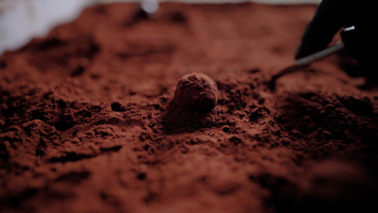 Criollos Chocolatier La Rochelle 5 768x432