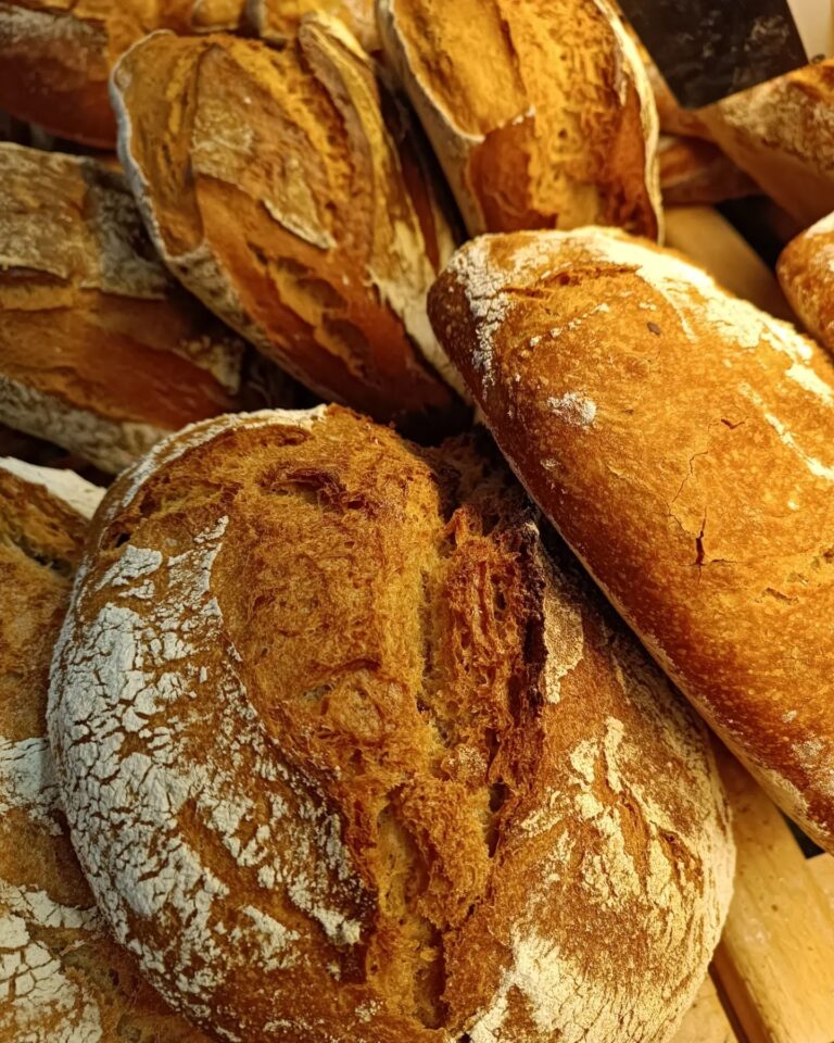 339325409 1630928447354471 353050288889051683 n 768x960