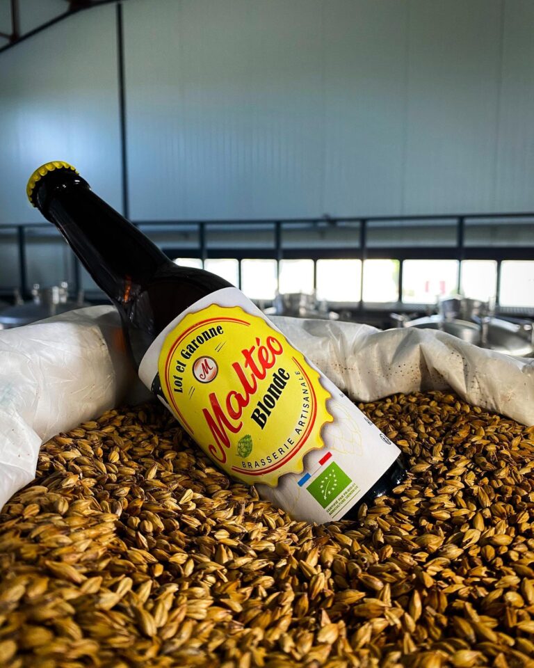 348982634 1191750851498036 2694857252897463045 n 768x960