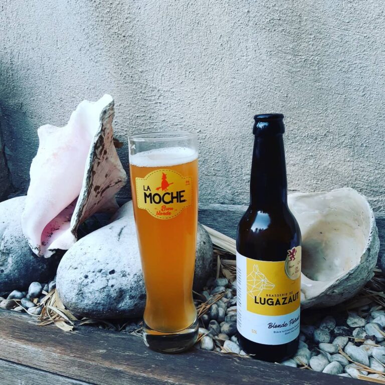 240737096 256169269665162 5144518809623273769 n 768x768