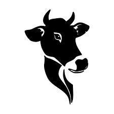 298714935 499431735517733 1305853497250468587 n