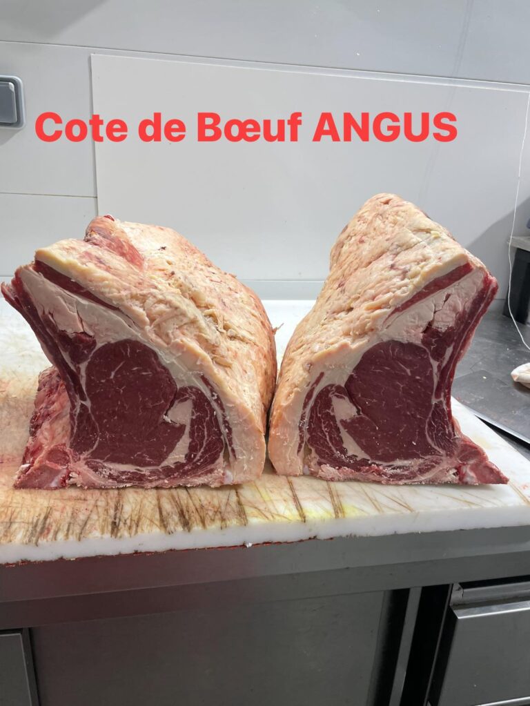 345297909 585591253675234 1842420665321923902 n 768x1023