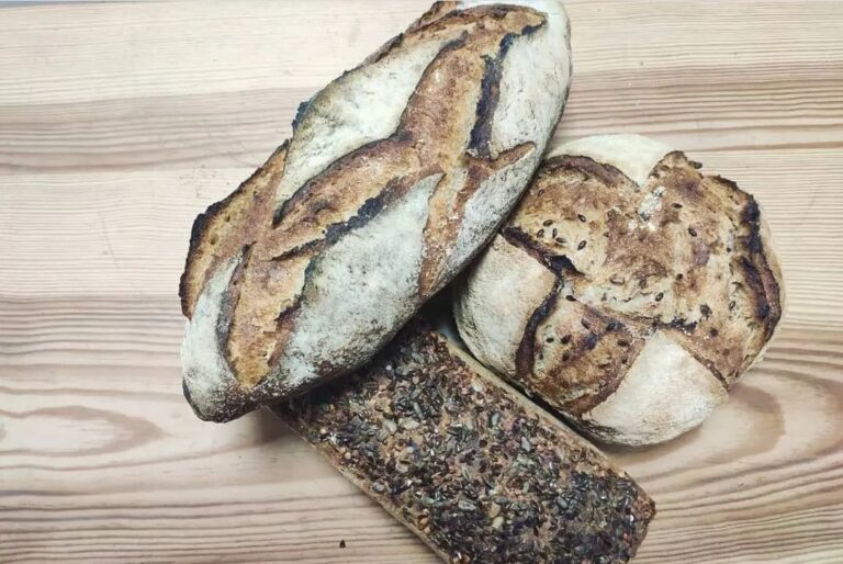 347257848 731292502335531 7152286470020906330 n 768x514