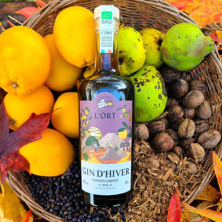 402306619 701584992075545 854299215817554028 n 768x768