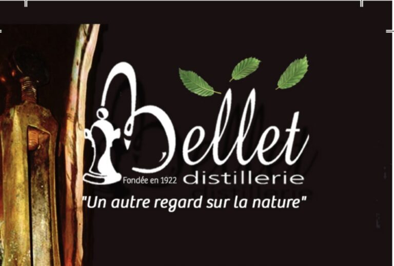 402402011 3728431107385091 1978680630989703436 n 768x519