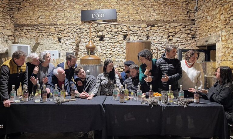 413939446 727564486144262 1363640304783824475 n 768x459