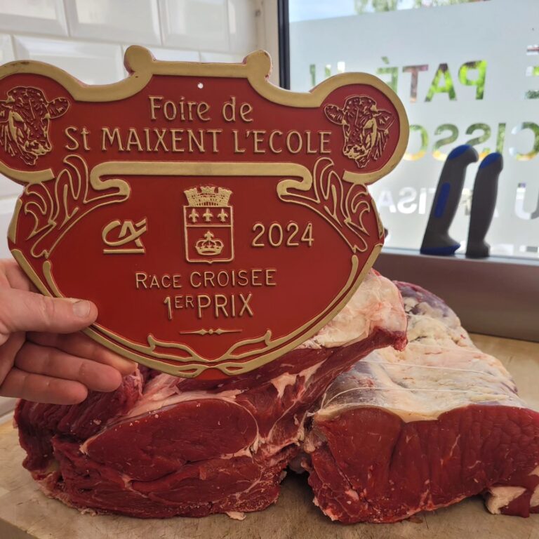 445011018 809899474468733 5789076539711646239 n 768x768