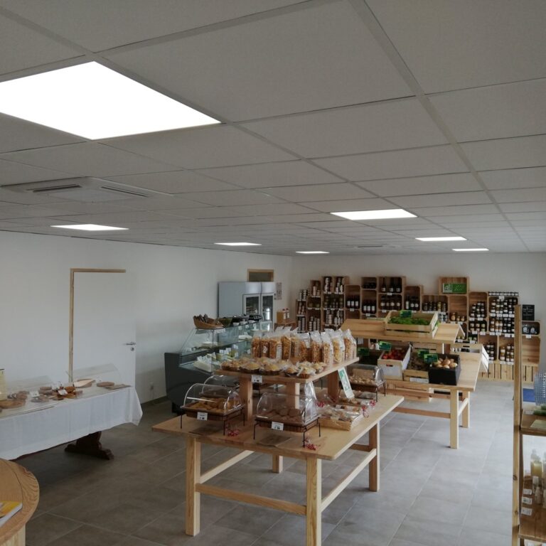 64620732 2062713650700387 7934359833434652672 n 768x768