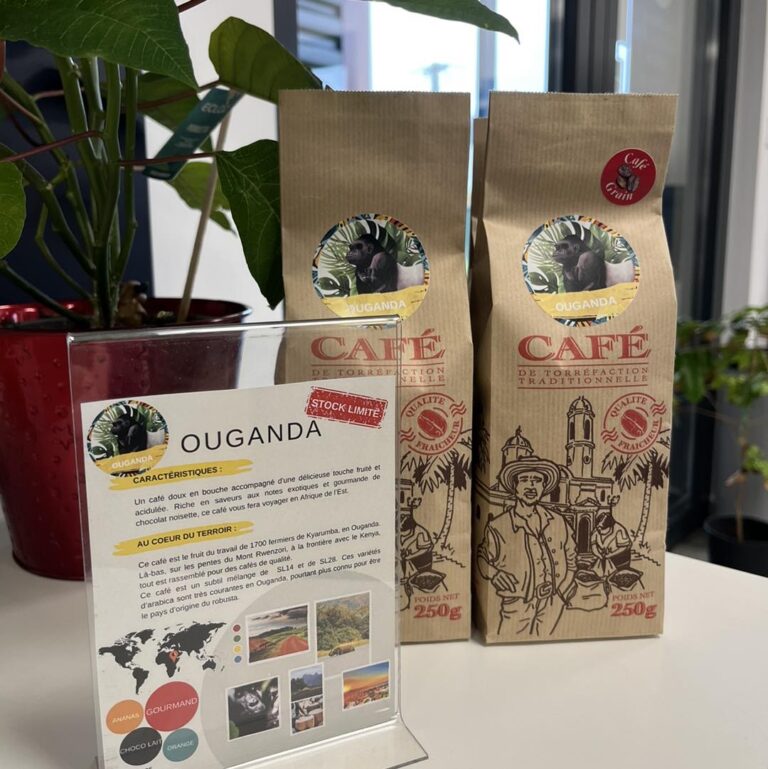 434721535 993097502510378 6450263061805722636 n 768x769