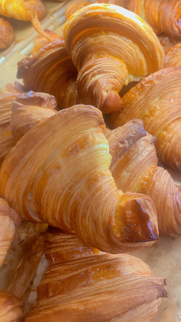 449761438 961219652683609 4802991060341141768 n