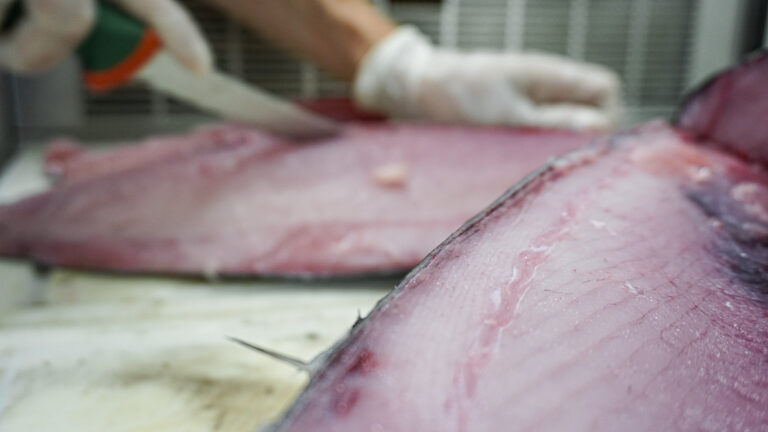 115982629 159956439013562 4359076296806804539 n 768x432