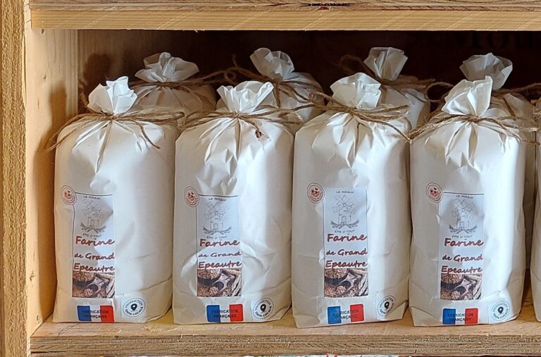 475712951 1563889364555080 8069333999732071640 n 768x507