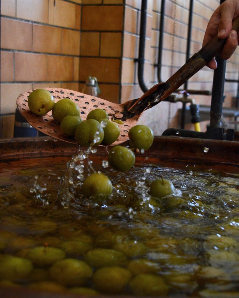 552795448 1327988099326259 6471334754696961837 n 768x960